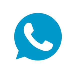 Whatsapp Plus v10 APK APK